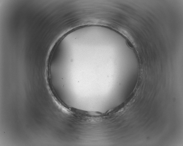 X0000068831136200605191852