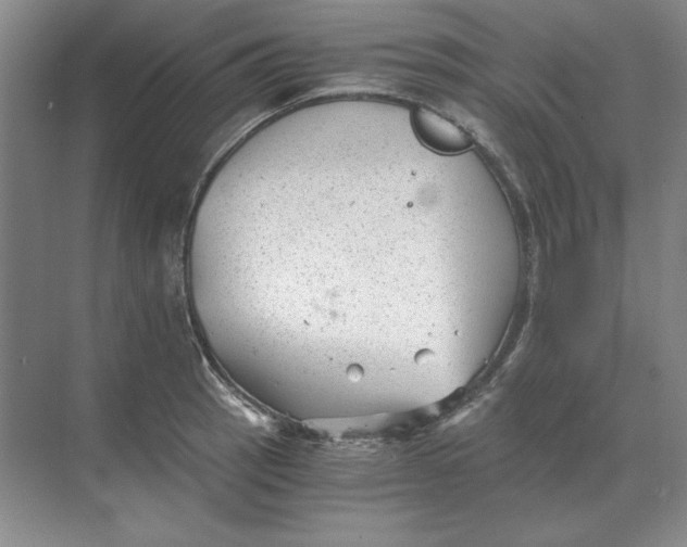 X0000068831137200605191852