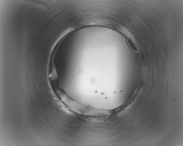 X0000068831138200605191852