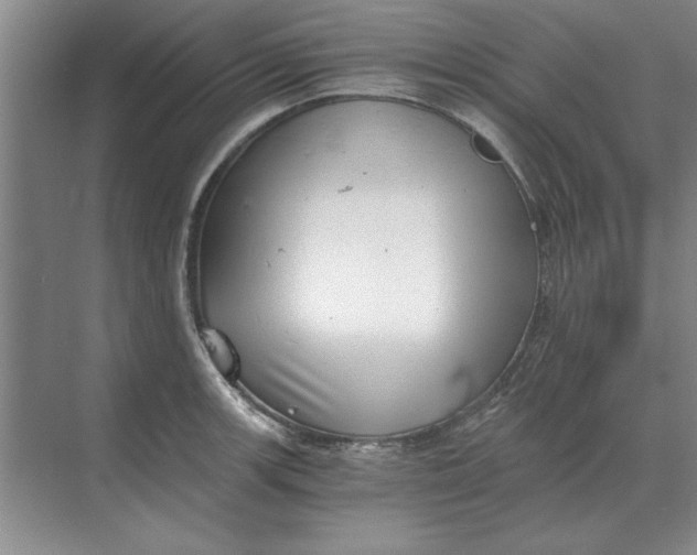 X0000068831139200605191852