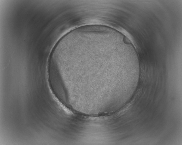 X0000068831142200605191852