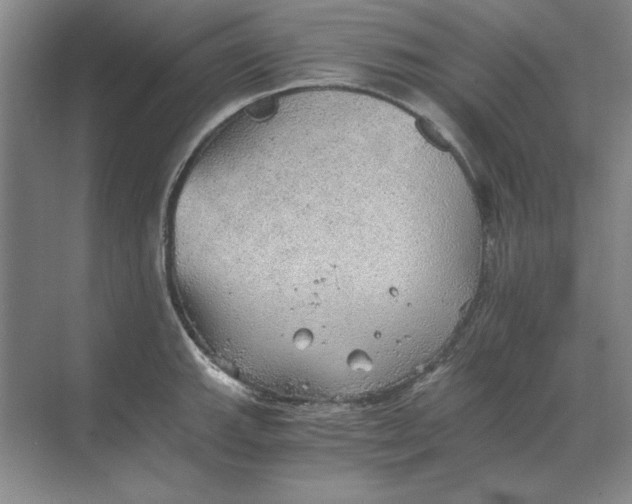 X0000068831143200605191852