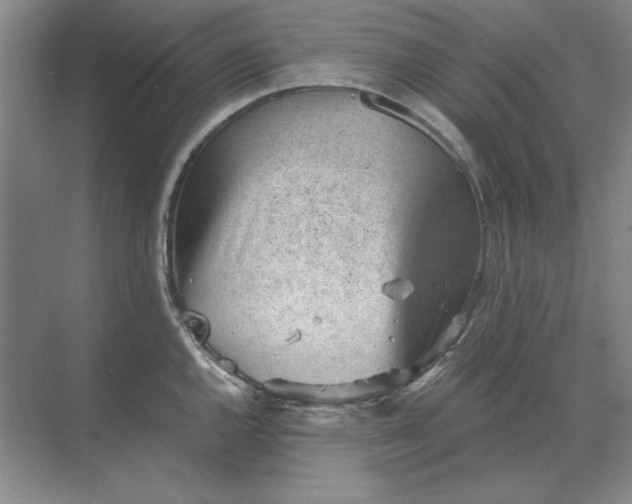 X0000068831144200605191852