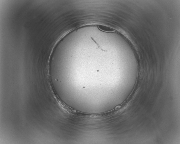 X0000068831145200605191852