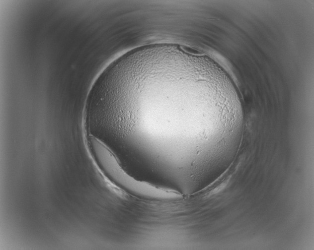 X0000068831149200605191852