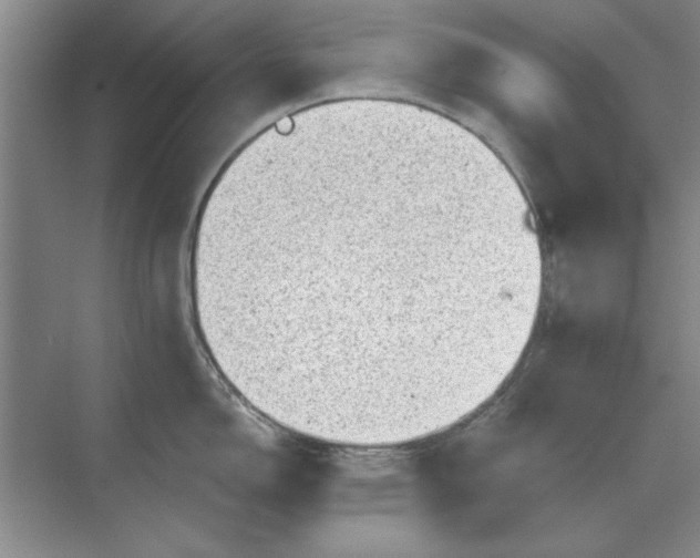 X0000068831150200605191852