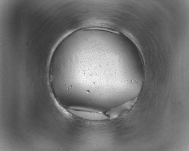 X0000068831152200605191852