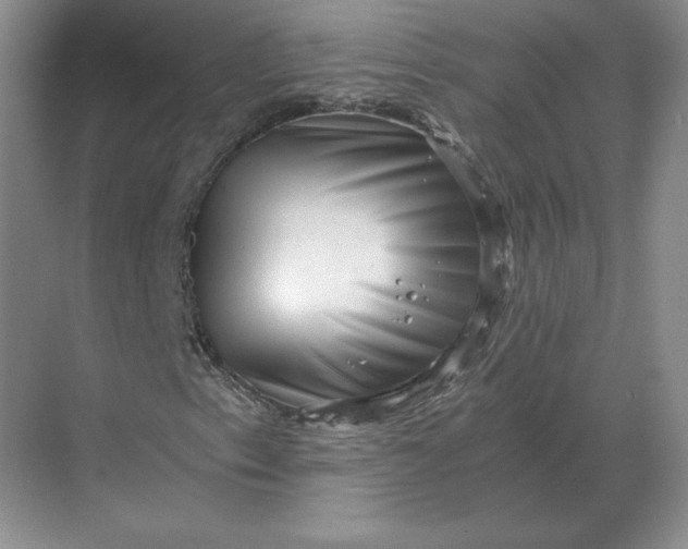 X0000068831153200605191851