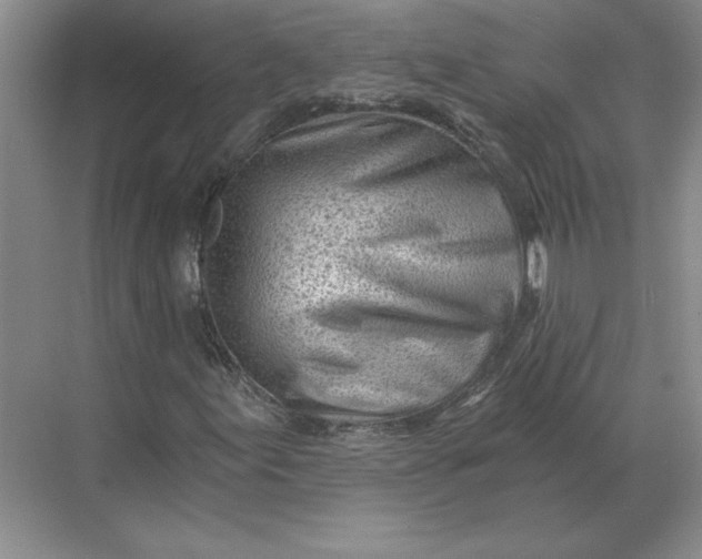 X0000068831155200605191851