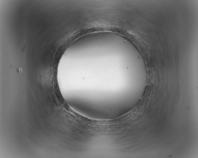 X0000068831157200605191851