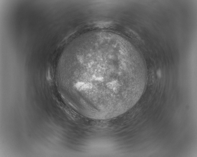 X0000068831158200605191851