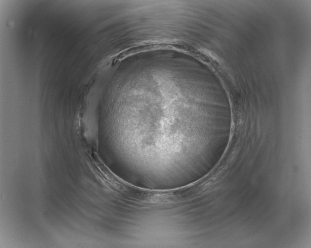 X0000068831161200605191851