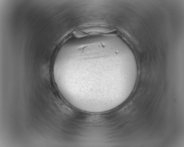 X0000068831162200605191851