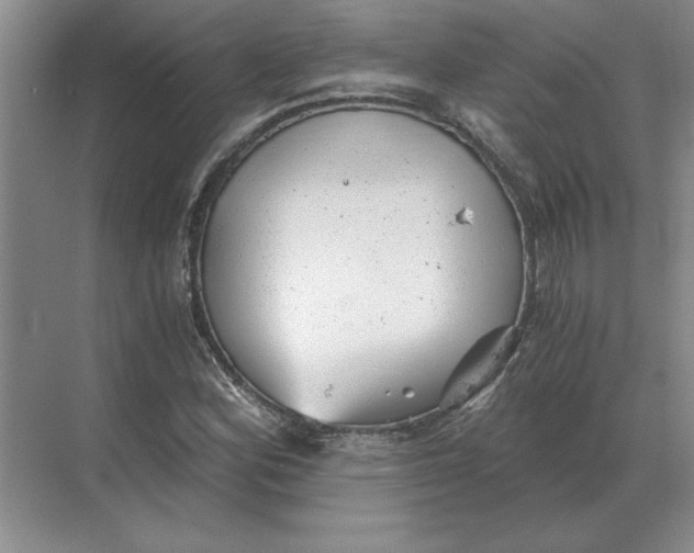 X0000068831164200605191851