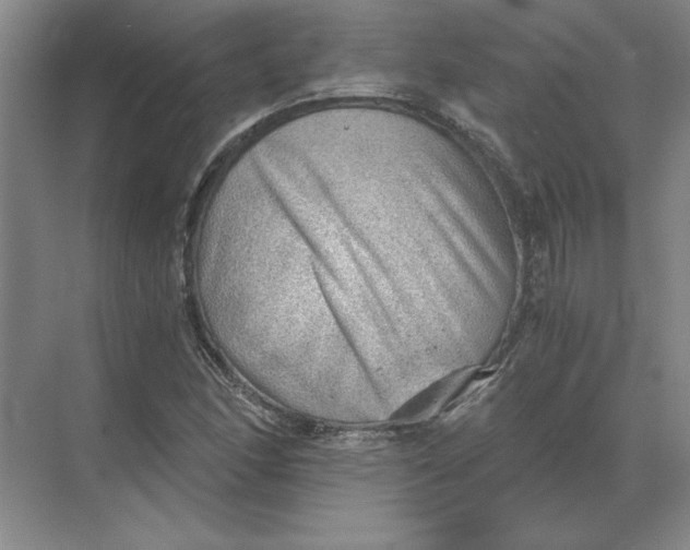 X0000068831166200605191851