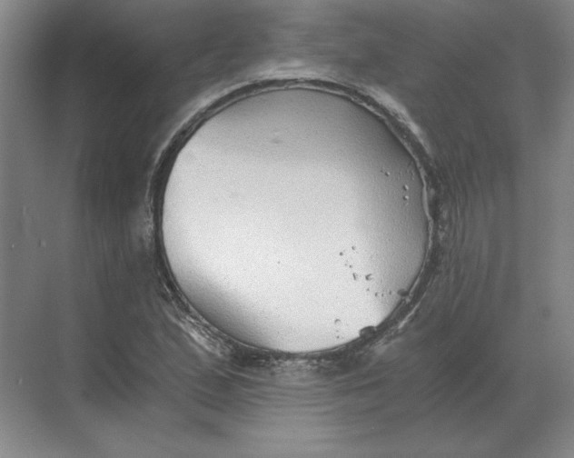 X0000068831167200605191851