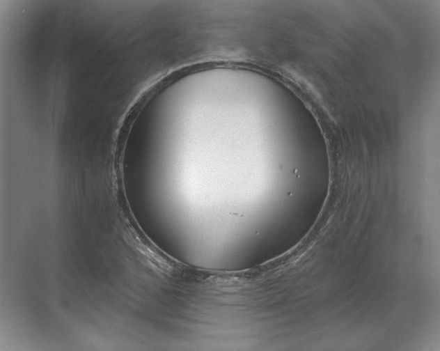 X0000068831168200605191851