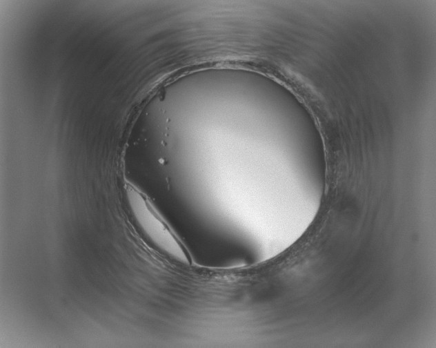 X0000068831169200605191851