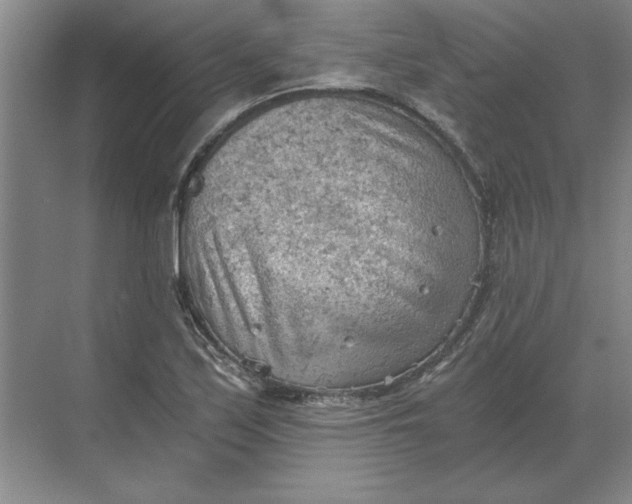 X0000068831171200605191851