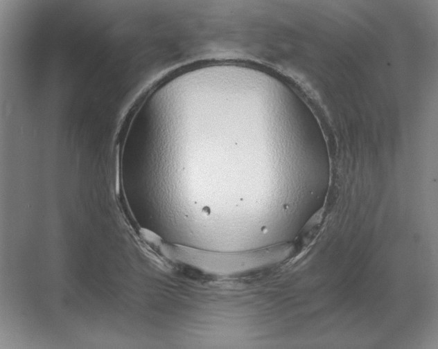 X0000068831175200605191851