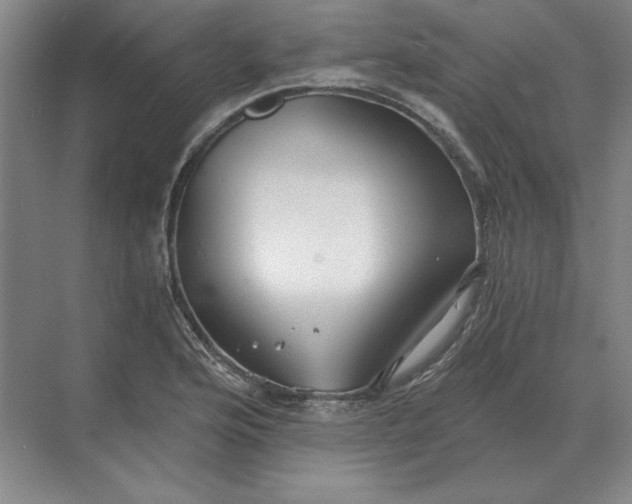 X0000068831176200605191851