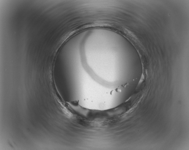 X0000068831177200605191851