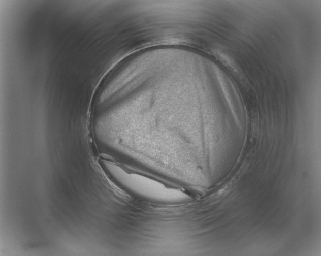 X0000068831178200605191851