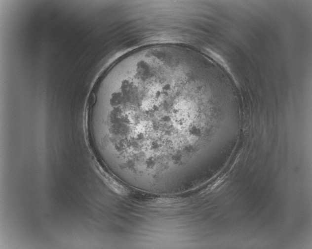 X0000068831179200605191851