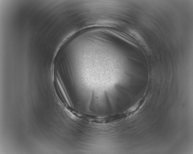 X0000068831180200605191851