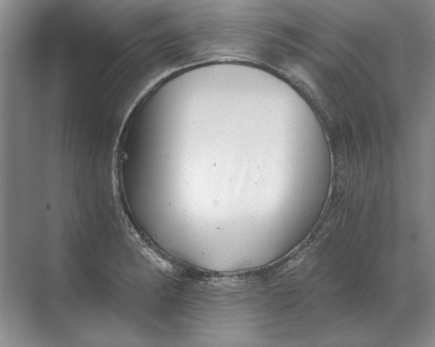 X0000068831182200605191851