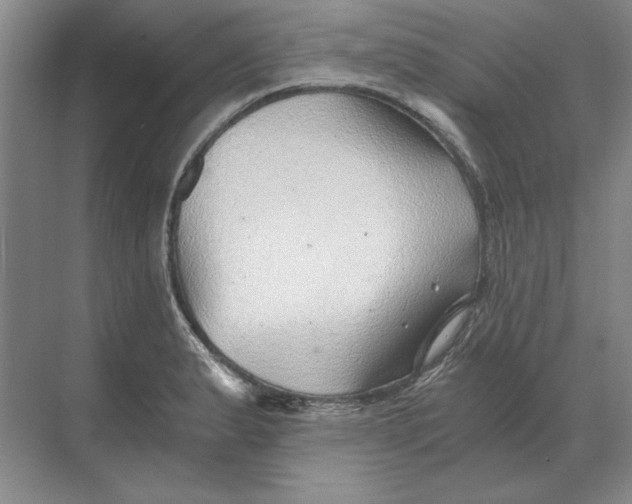 X0000068831183200605191851