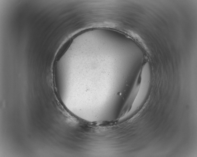 X0000068831184200605191851