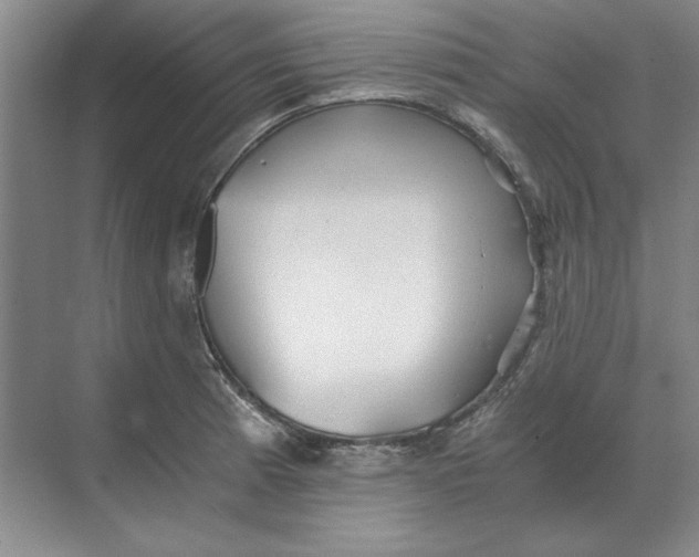 X0000068831185200605191851