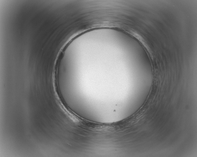 X0000068831187200605191851