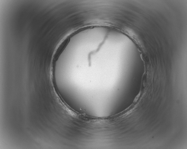 X0000068831188200605191851