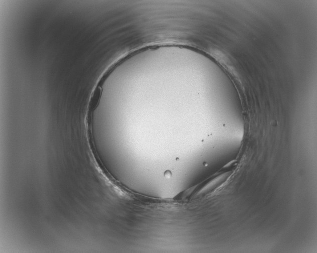 X0000068831189200605191851