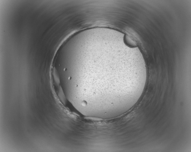 X0000068831190200605191851