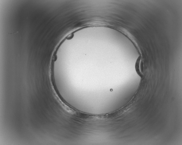 X0000068831195200605191851