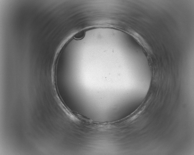 X0000068831196200605191851