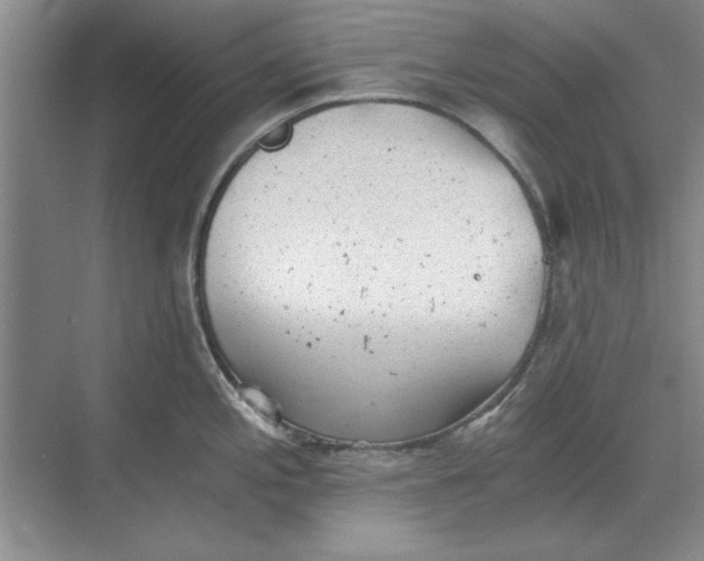 X0000068831197200605191851