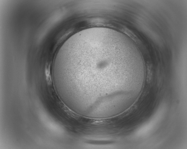 X0000068831198200605191851