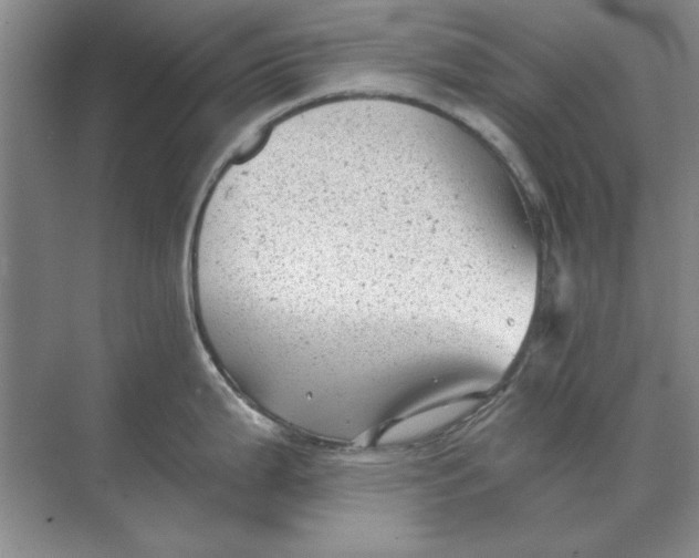 X0000068831199200605191851