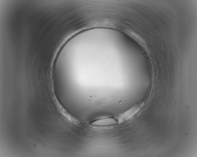 X0000068831200200605191851