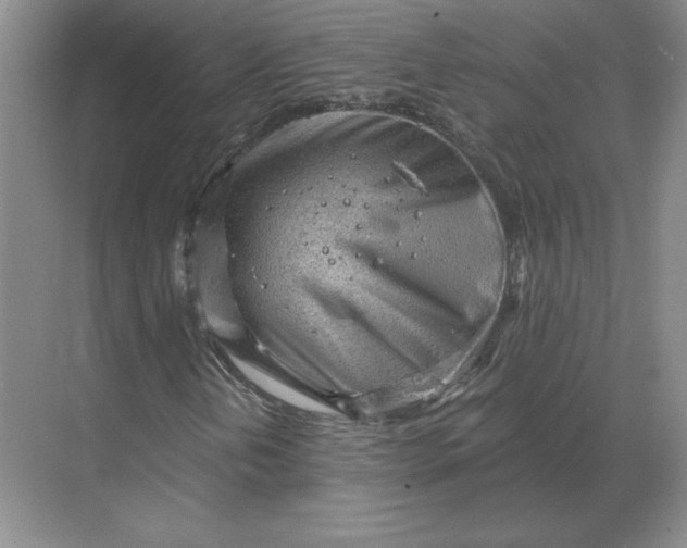 X0000068831202200605191850