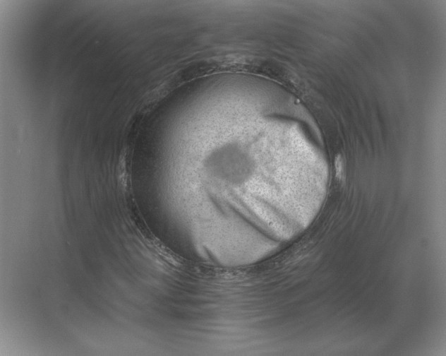 X0000068831203200605191850