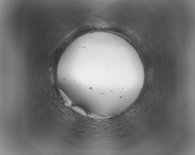 X0000068831205200605191850