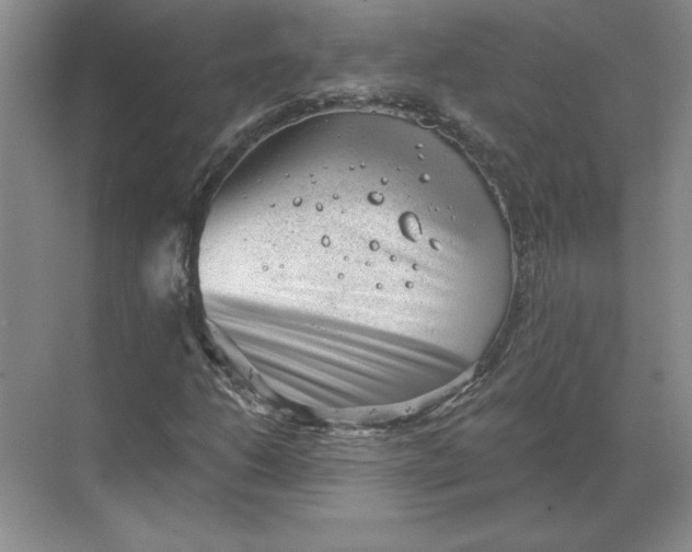 X0000068831206200605191850