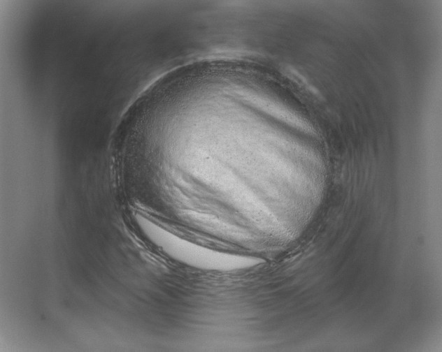 X0000068831208200605191850