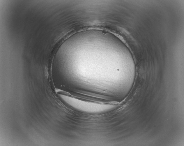 X0000068831209200605191850