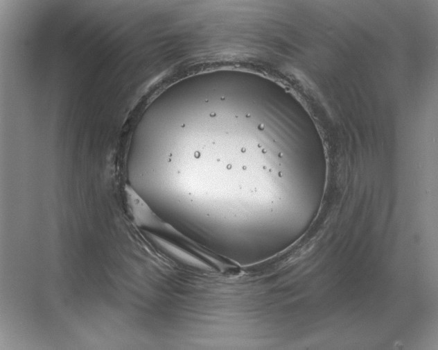 X0000068831210200605191850